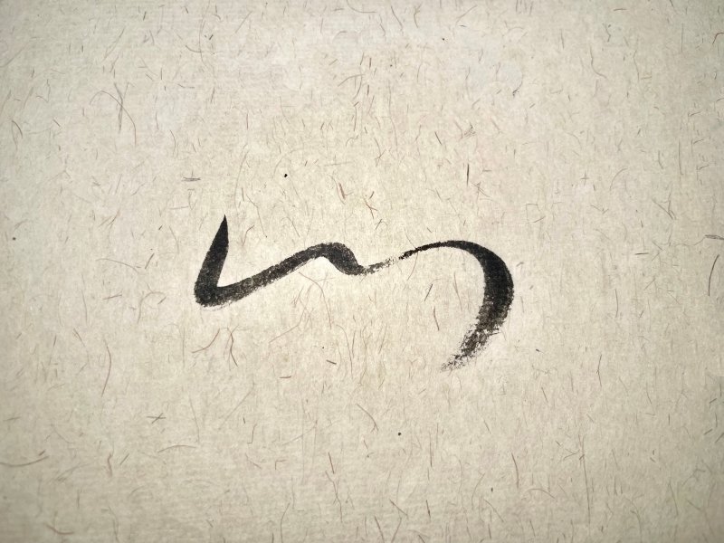 chinese character heart with cursive script